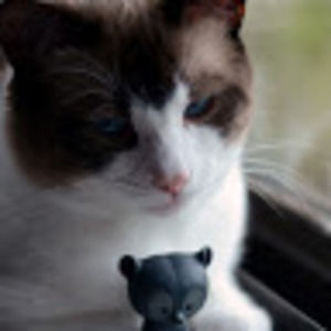 Meet your Posher, Xintong